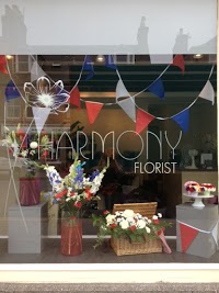 Harmony Florist 1073937 Image 6